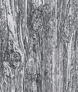 Tim Holtz® Alterations | 3-D Texture Fades™ Embossing Folder – Lumber A5