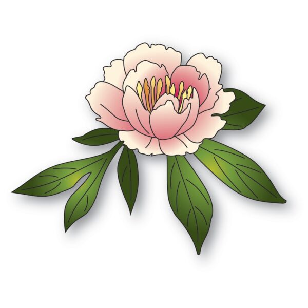 Memory Box Die – Gentle Peony Bloom 94872