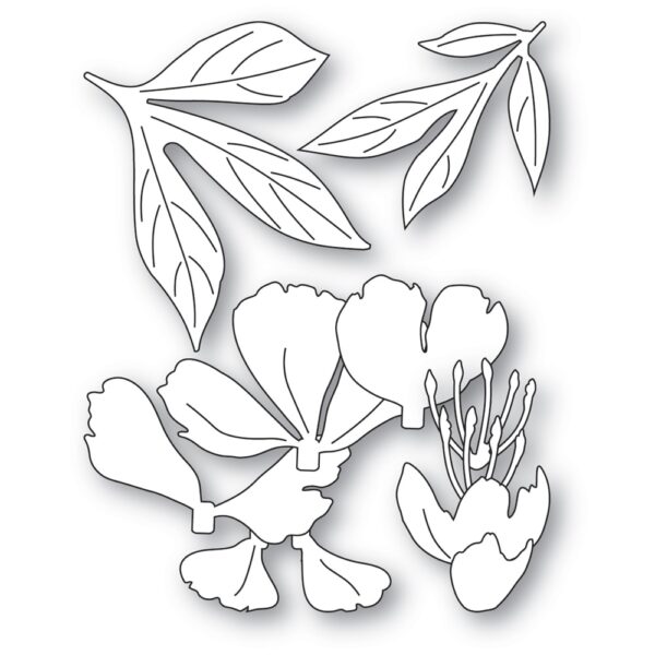 Memory Box Die – Gentle Peony Bloom 94872 - Image 2