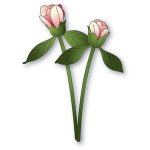 Memory Box Die – Peony Bud Duo 94874