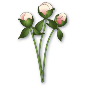 Memory Box Die – Peony Bud Stems 94876