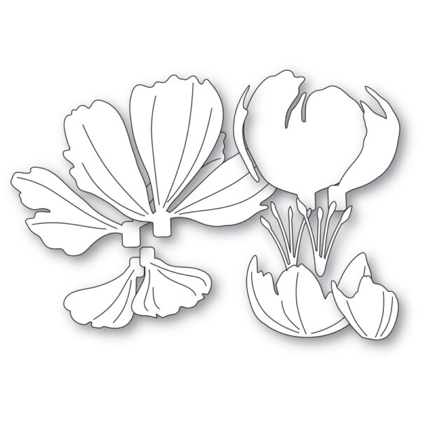 Memory Box Die – Graceful Peony Blossom 94877 - Image 2