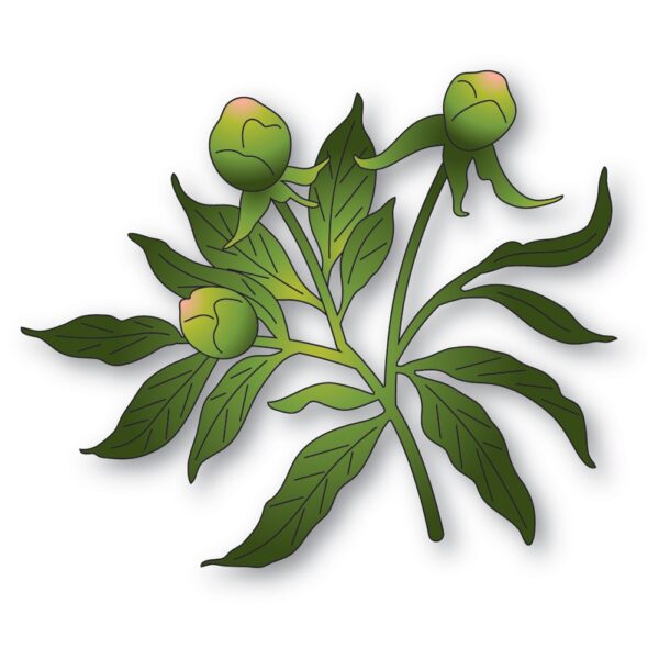 Memory Box Die – Peony Bud Trio 94880