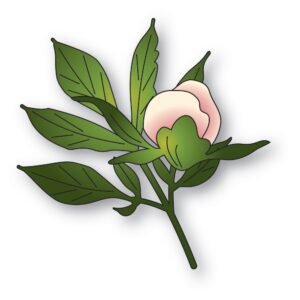 Memory Box Die – Tender Peony Bud 94881