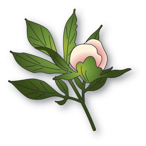 Memory Box Die – Tender Peony Bud 94881