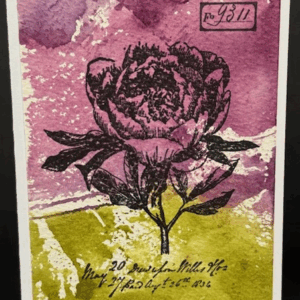 French Garden Botanicals with Chris Focke -- July 30