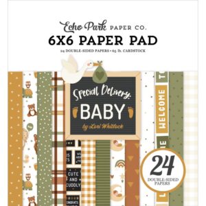 Echo Park Double-Sided Paper Pad 6"X6" -- Special Delivery Baby