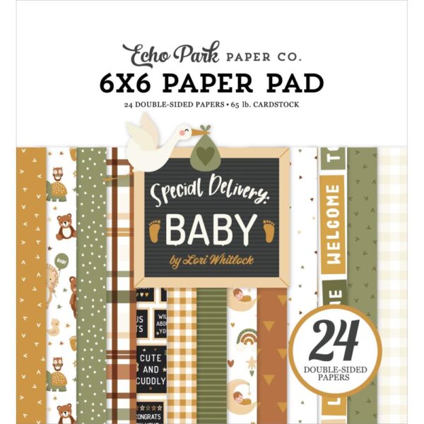Echo Park Double-Sided Paper Pad 6"X6" -- Special Delivery Baby