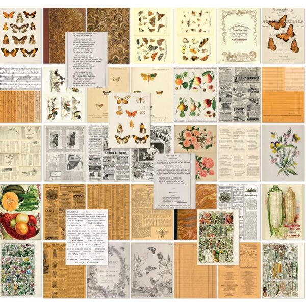 49 And Market Peach Collage Sheets 6"x8" - Image 2