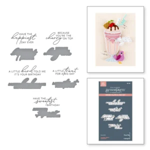 Fountain Wishes Sentiments BetterPress Plate & Die Set