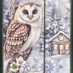 Owl House - White Winter Folio with Pat Hobson -- December 1