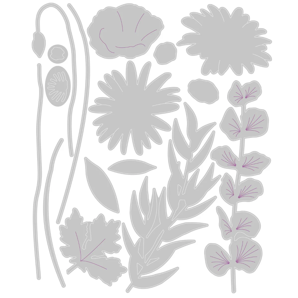 Sizzix Thinlits Die Set 16PK - Wild Blooms #2 - Image 2