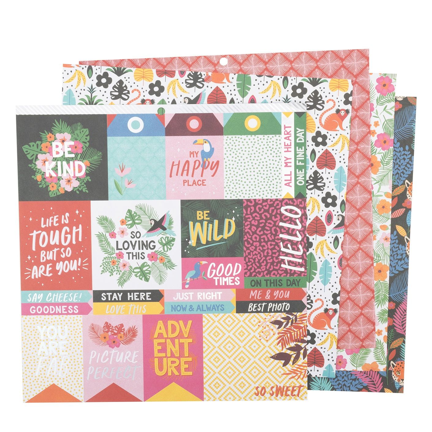 DCWV Double-Sided 12×12″ Cardstock Stack – Wild Floral - Image 3
