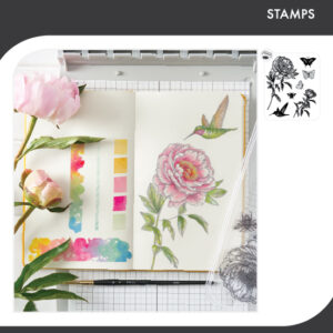 Sizzix Studio Clear Stamp Set 7PK - Flowers and Creatures by Willow Wolfe