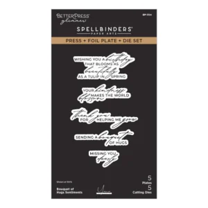 Bouquet of Hugs Sentiments Press + Foil Plate & Die Set