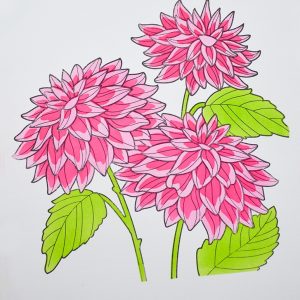 Memory Box Stencil – Dahlia Stems 88635